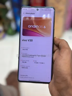 Vivo V30 5G 256 GB