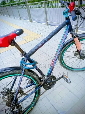 Running Cycle