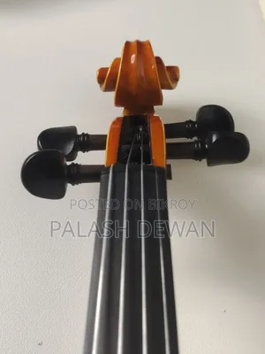 Violin বেহালা প্রিমিয়াম বক্স