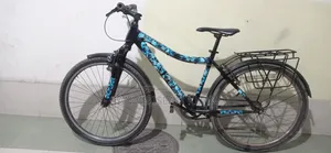 Phoenix Non-Gear Bicycle