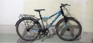 Phoenix Non-Gear Bicycle