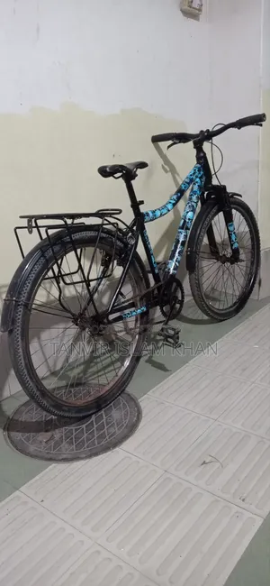 Phoenix Non-Gear Bicycle