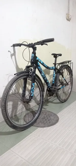 Phoenix Non-Gear Bicycle