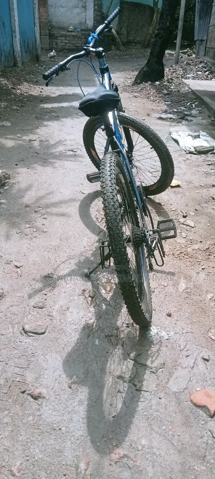 Avon Cycle for Sale