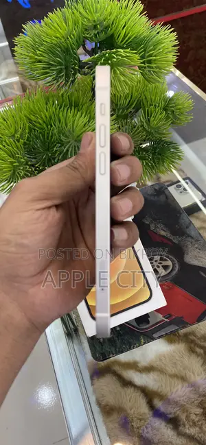 অ্যাপল আইফোন ১২ ১২৮ জিবি সাদা