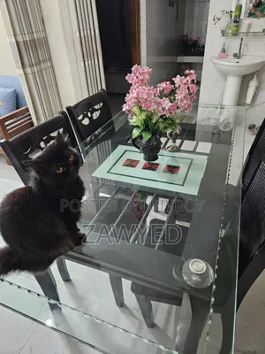 Glass Dining Table