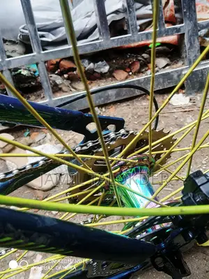 Hassans 7 Pro 36 Hole Hub