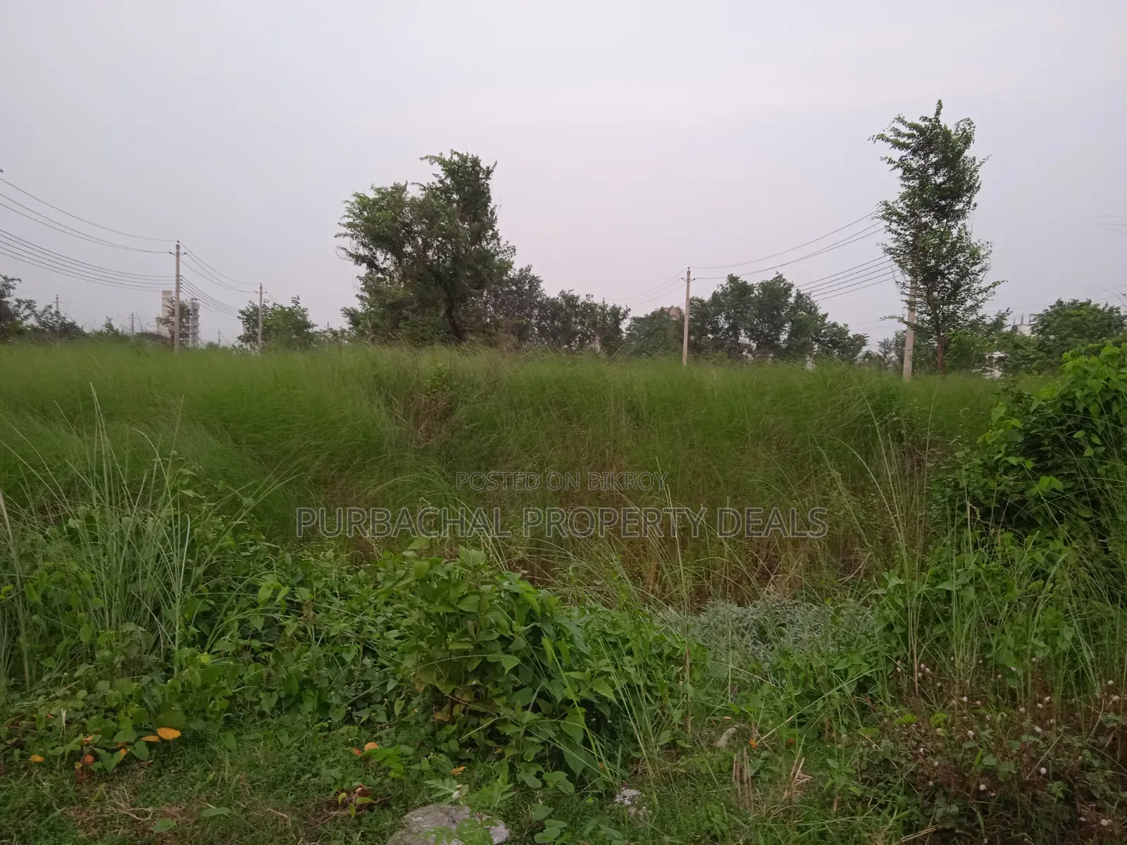 স্বদেশ সানভ্যালির a ব্লকে প্রাইম লোকেশনে ৮ কাঠা প্লট বিক্রয়।