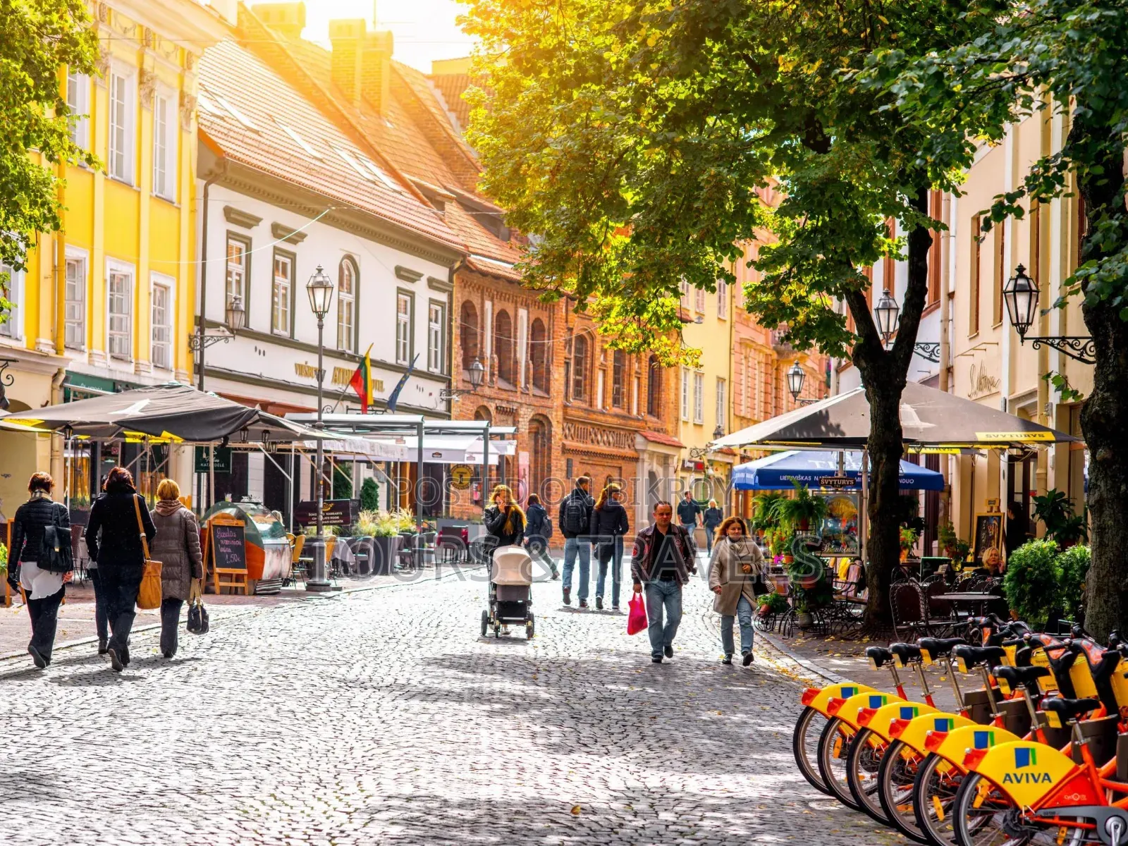 Lithuania (Schengen) Vilnius Hotel Boy 1 Year Visa Urgent Recruitment