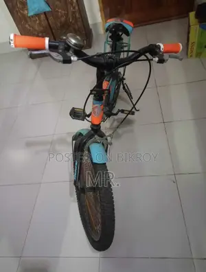 শিশুদের মিনি সাইকেল