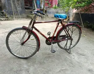 দুরন্ত সাইকেল