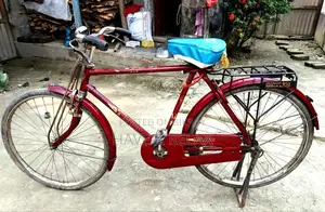 দুরন্ত সাইকেল