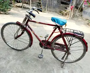 দুরন্ত সাইকেল