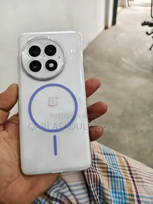 OnePlus 13 512 GB Silver