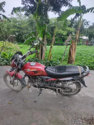 Bajaj Platina 110 2010 Red