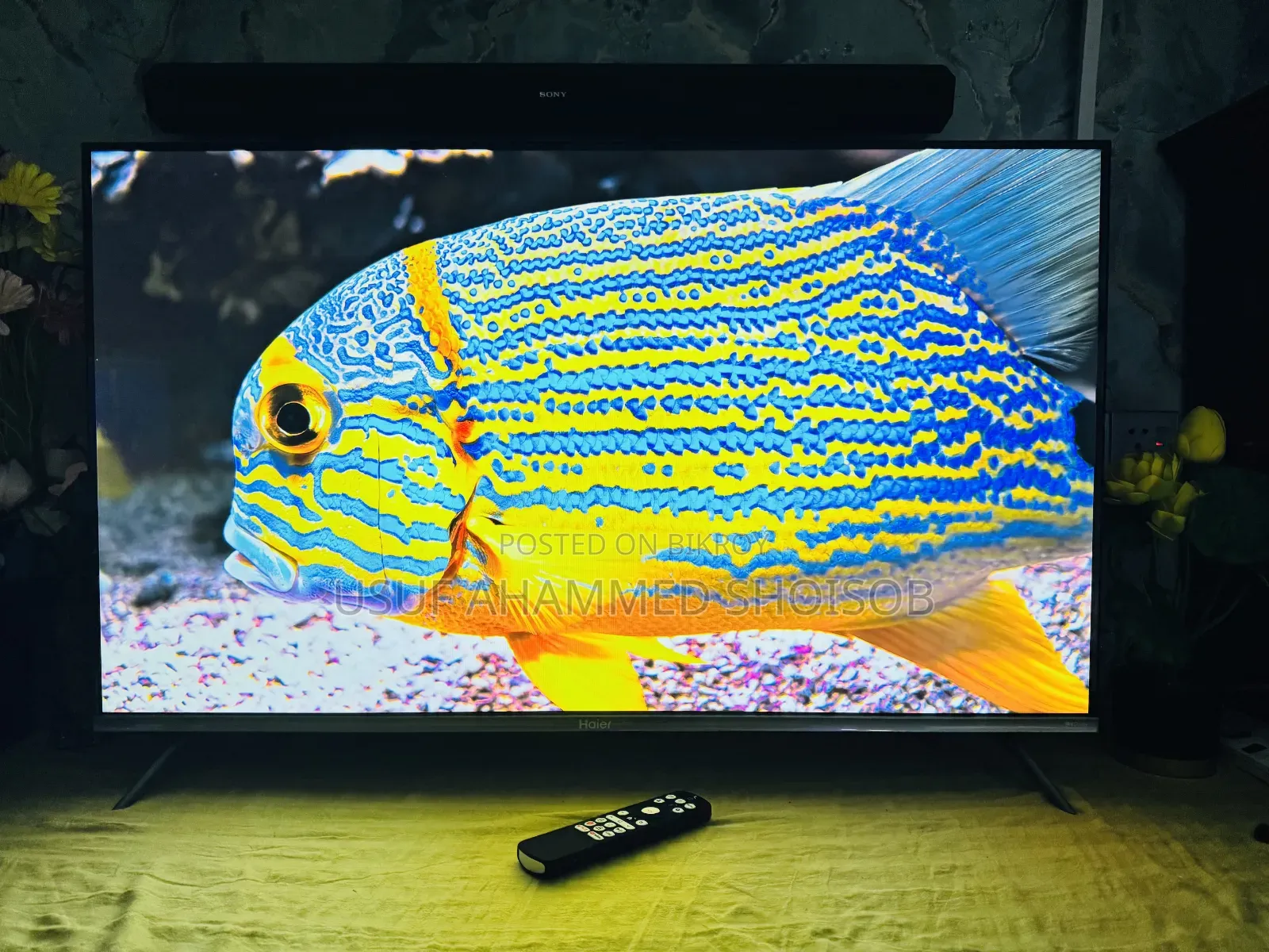 Haier Official 43" Tv P7 Series