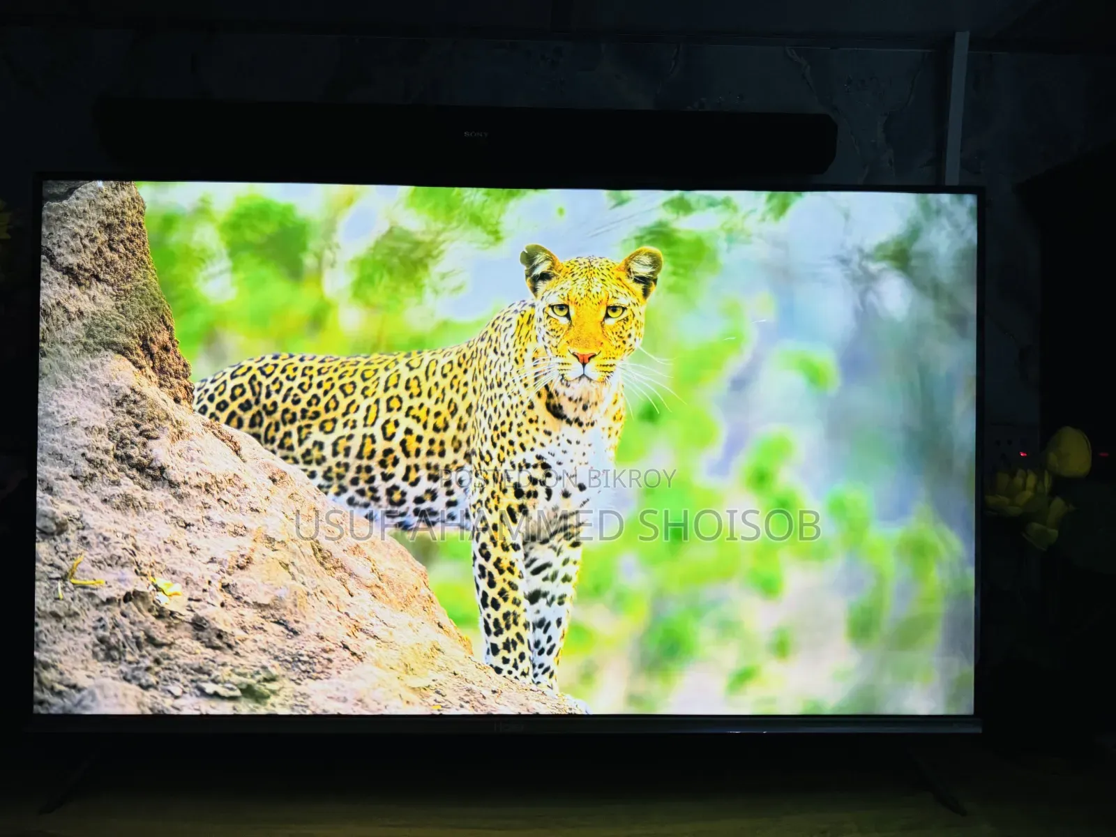 Haier Official 43" Tv P7 Series