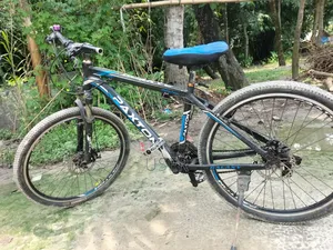 প্যাক্সটন সাইকেল