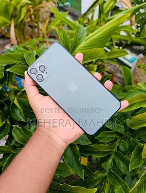 Apple iPhone 11 Pro Max 256 GB Green