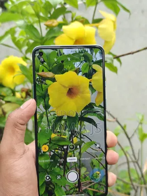 OnePlus 9R 256 GB Purple