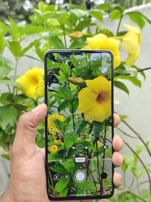 OnePlus 9R 256 GB Purple