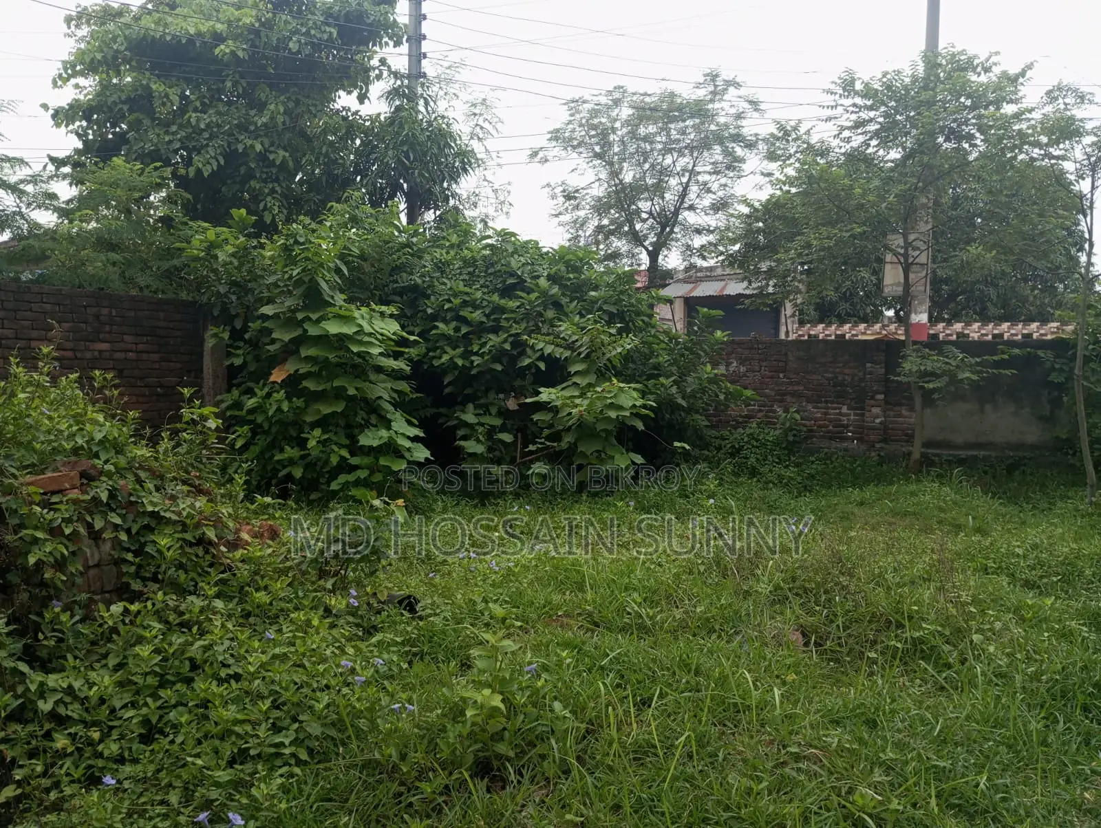 5 Katha land for sale.