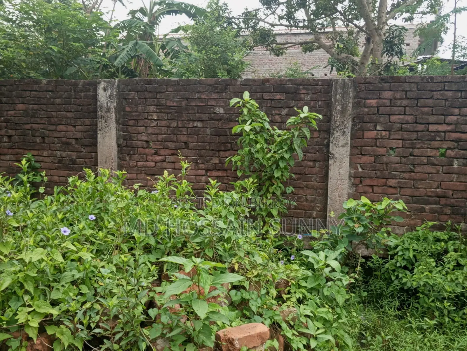 5 Katha land for sale.