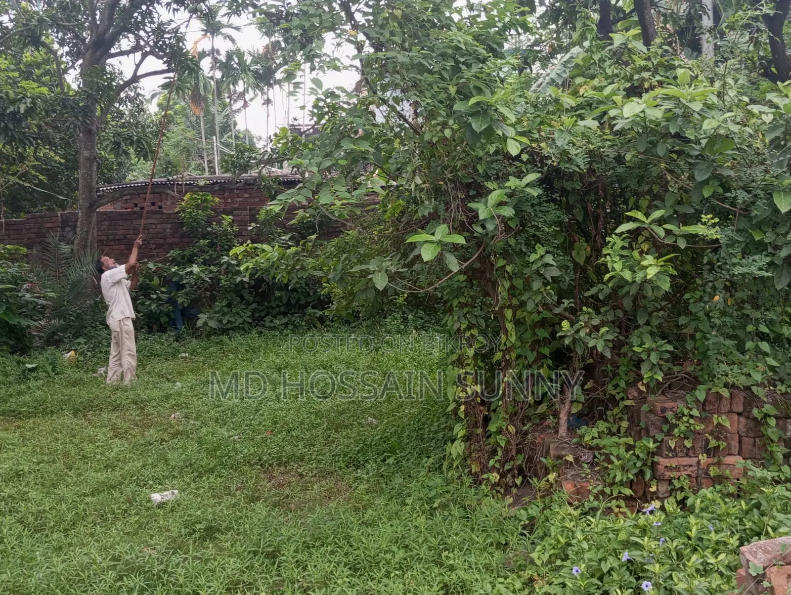 5 Katha land for sale.