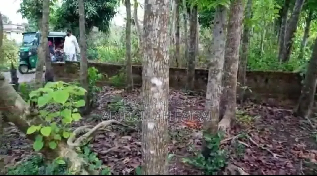 রাস্তার পার্শ্বে জায়গা বিক্রি হবে।