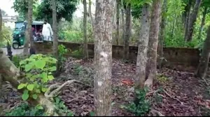 Roadside land for sale.