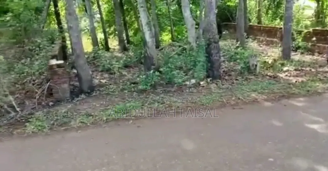রাস্তার পার্শ্বে জায়গা বিক্রি হবে।