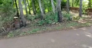 রাস্তার পার্শ্বে জায়গা বিক্রি হবে।