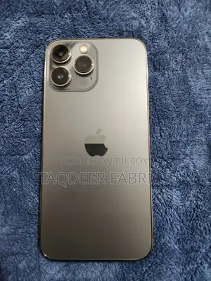 Apple iPhone 13 Pro Max 256 GB Gray