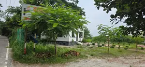 ৩ কাঠার প্লট ঢাকা মাওয়া রোড ব্লক সি ও ডি