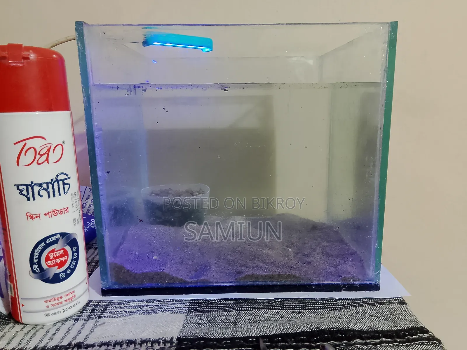 Fish Aquarium