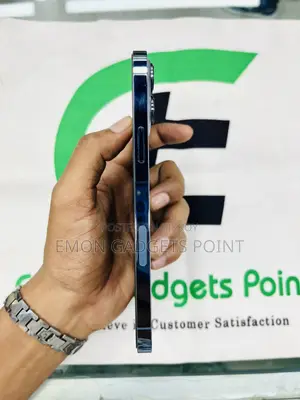 Apple iPhone 13 Pro Max 256 GB Blue