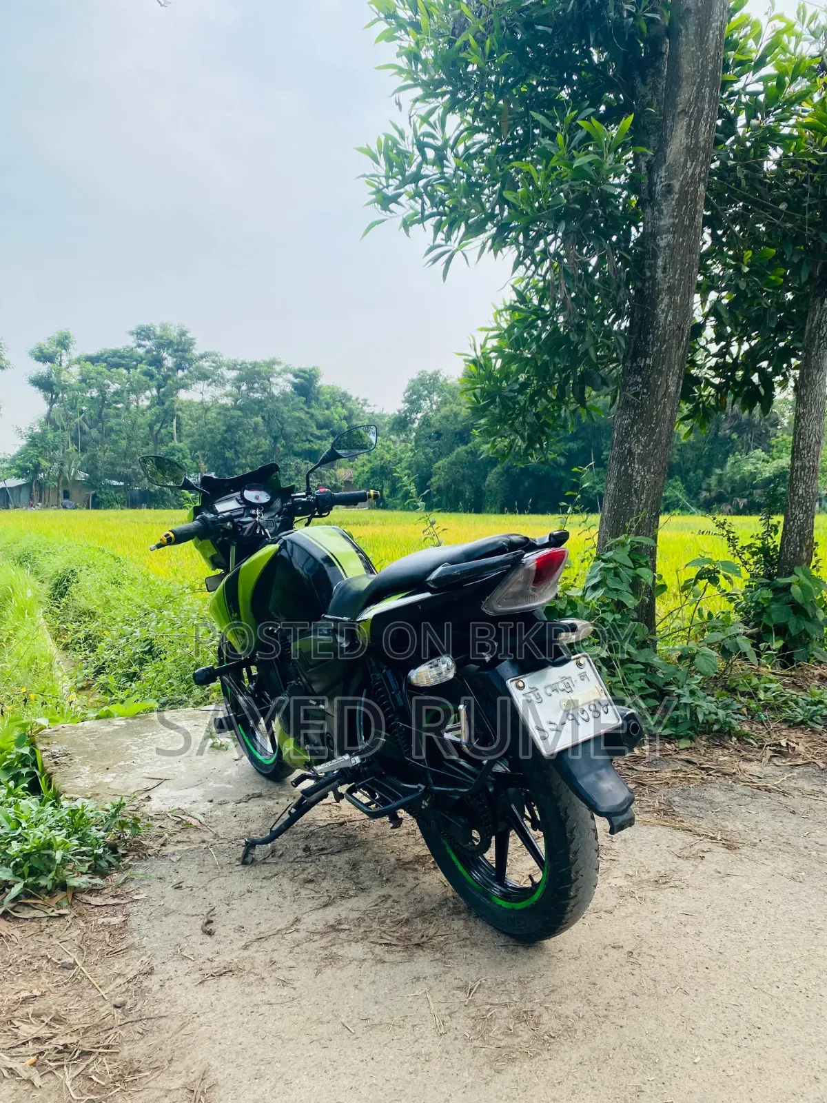 TVS Apache RTR 160 2V 2012 Green