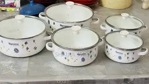 রেগোনা প্রিমিয়াম ৫-পিস এনামেল কুকিং পট/হাড়ি সেট