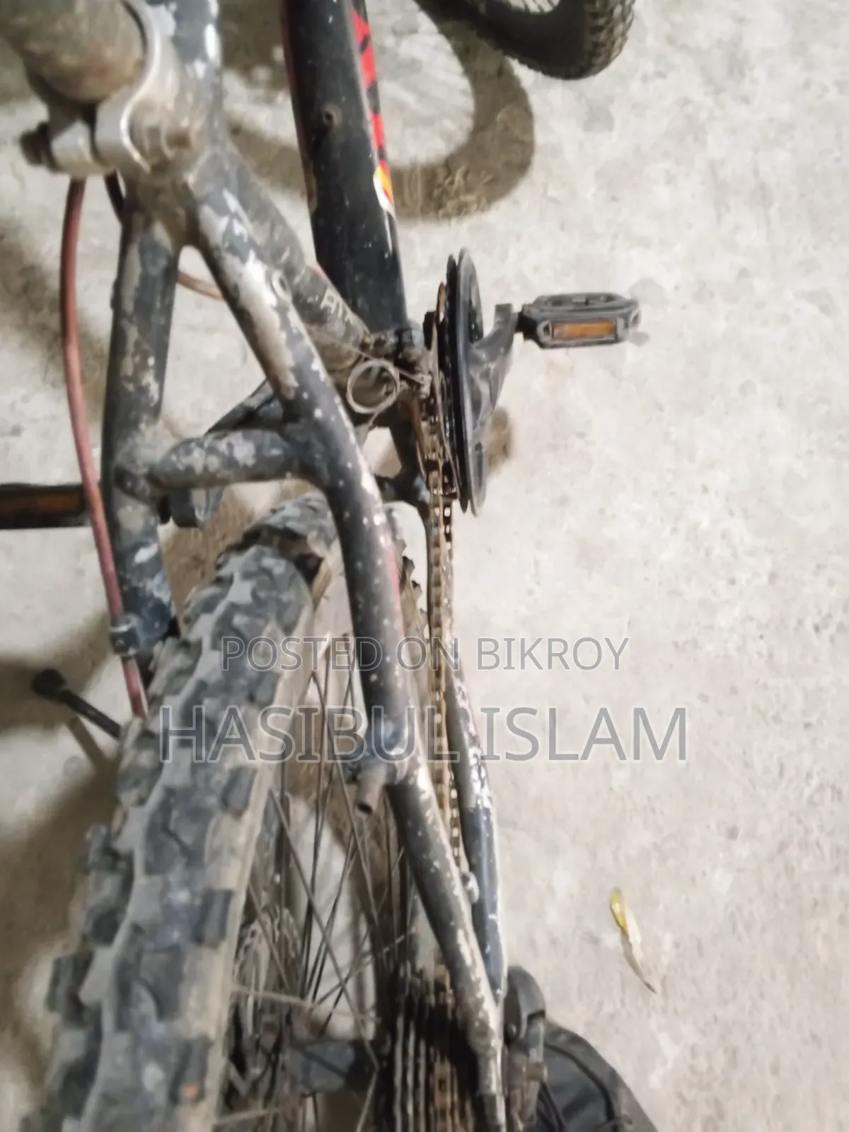 ফ্রেশ সাইকেল