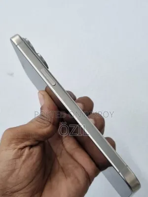 Apple iPhone 15 Pro Max 256 GB Gray