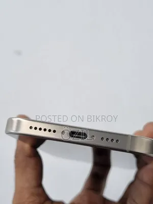 Apple iPhone 15 Pro Max 256 GB Gray