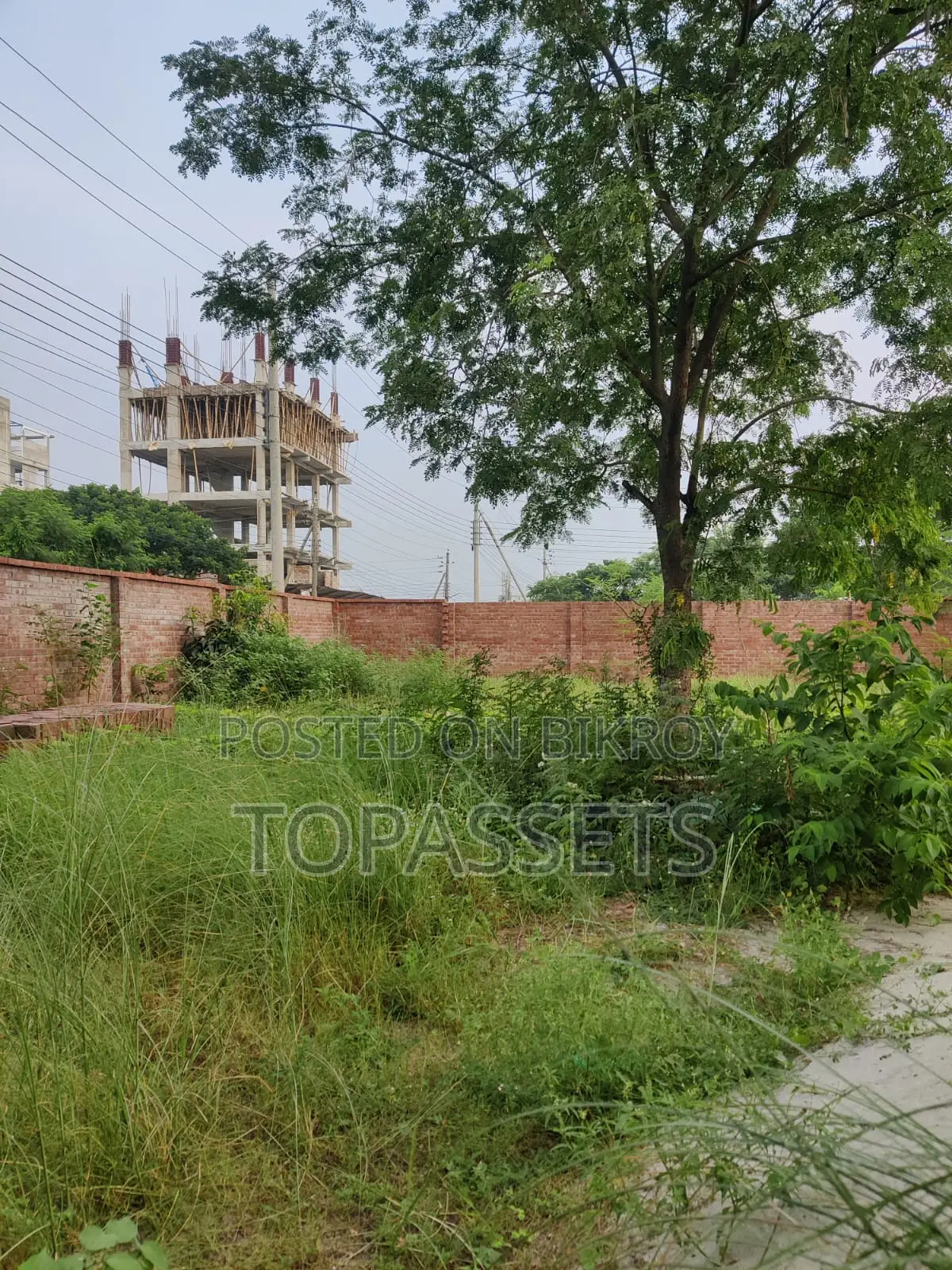 Premium 5 Katha Corner Plot For Sale | Bashundhara R/A, N Block