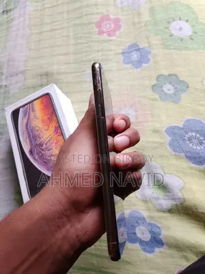 অ্যাপল আইফোন এক্সএস ম্যাক্স ২৫৬ জিবি রোজ গোল্ড