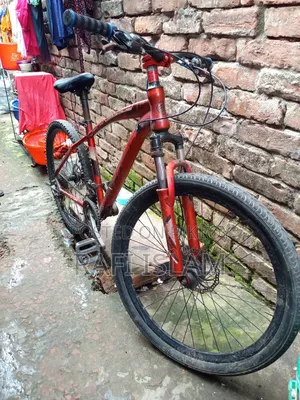 বাই সাইকেল