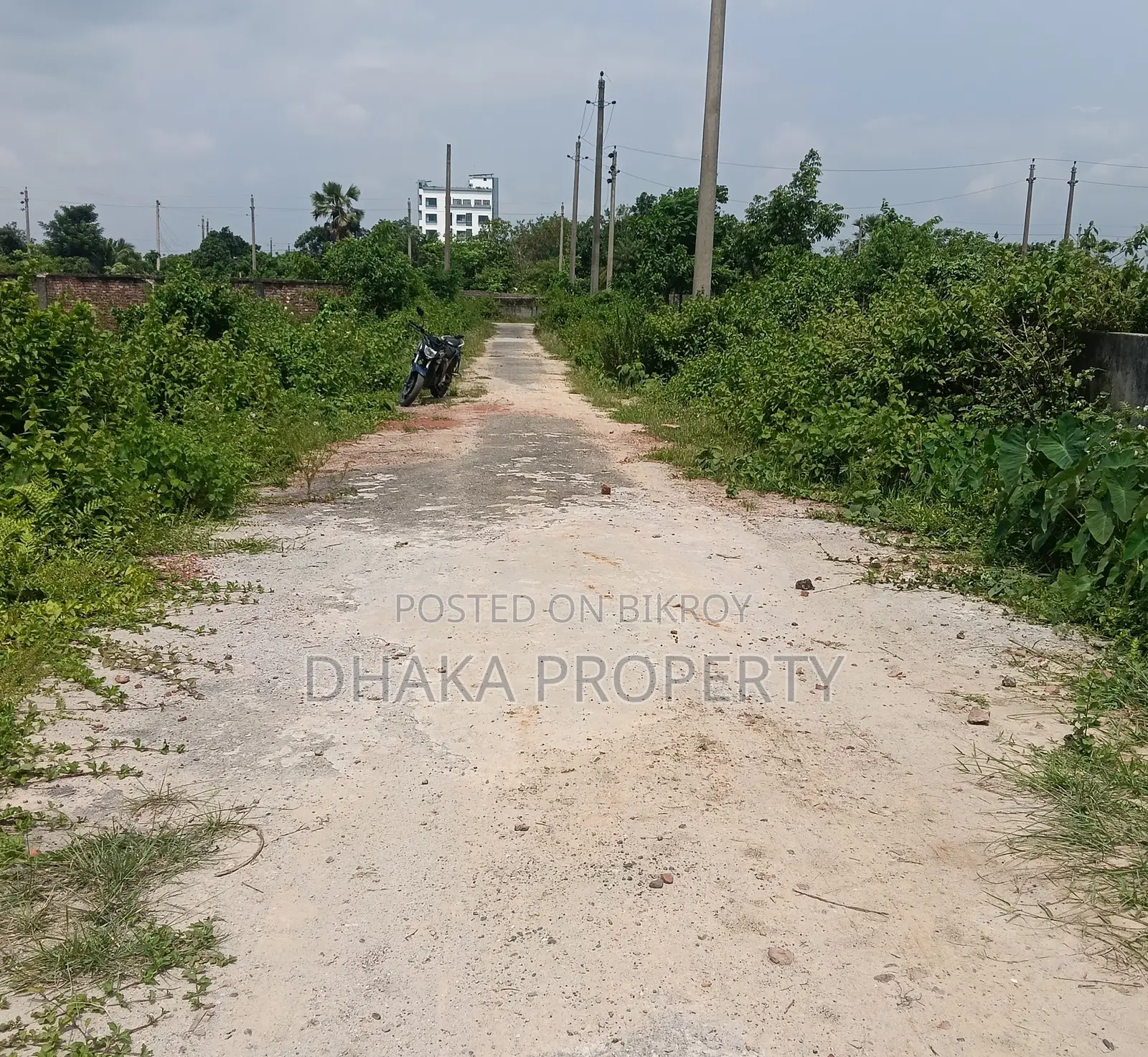 ৩০ ফুট রোড ৩ কাঠা লেক পার্ক ইস্ট অ্যাট সেক্টর-২৩