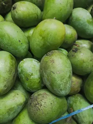 Fresh Rupali Mangoes from Own Garden - Direct from Garden