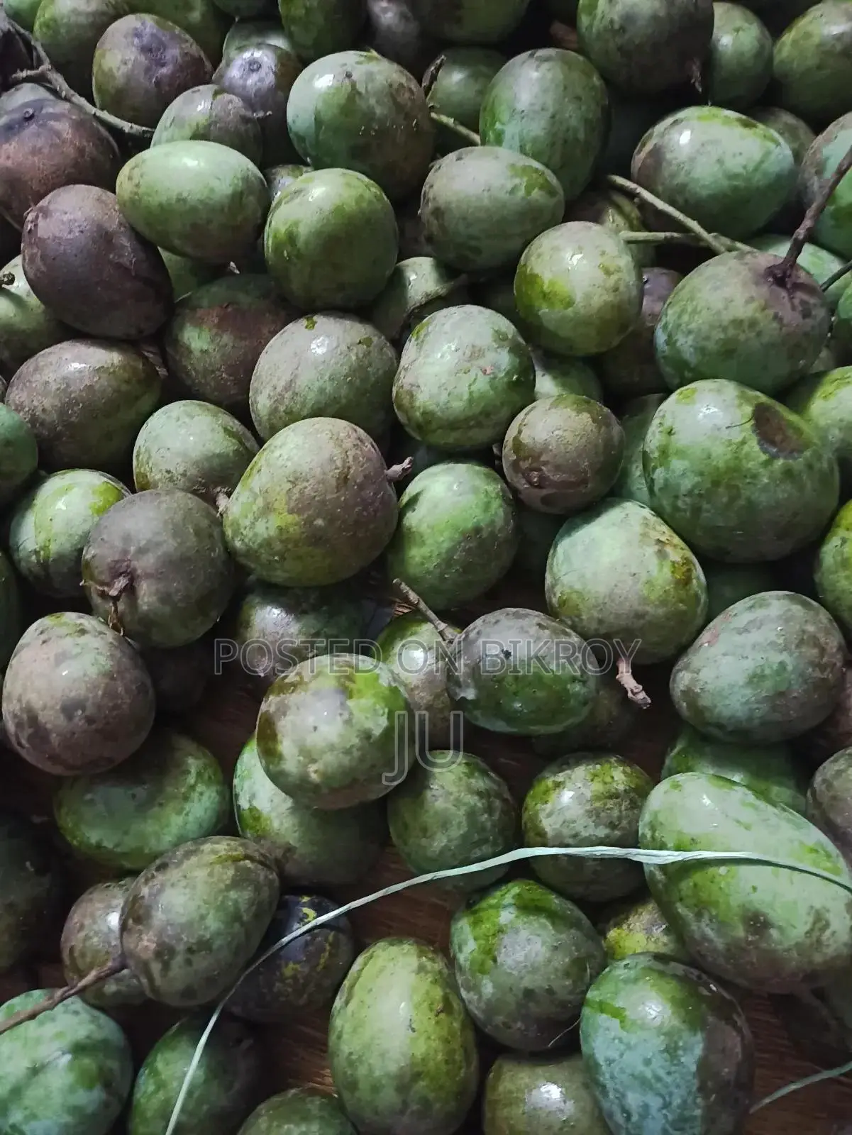 Fresh Rupali Mangoes from Own Garden - Direct from Garden