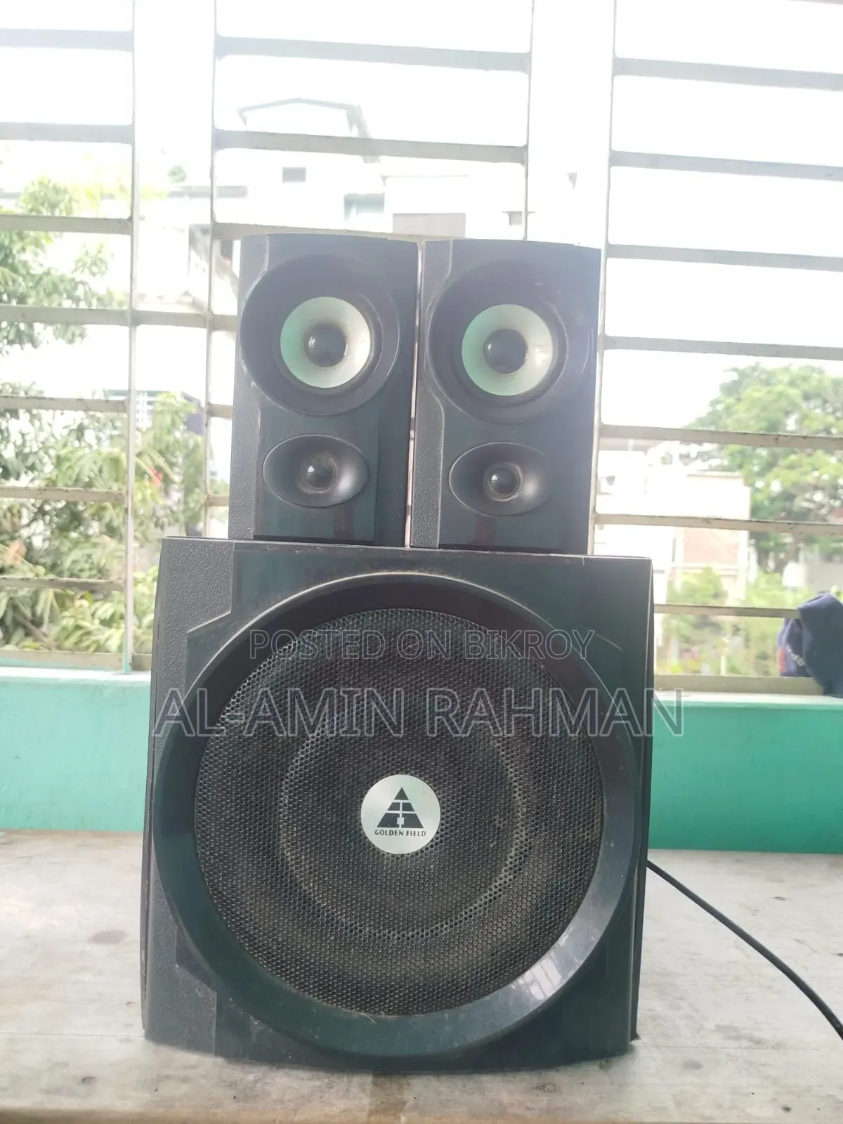 Microlab M-300 Series (Golden Field S300).