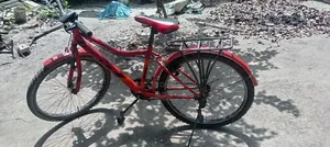 ভালো কন্ডিশনের প্রিন্স সাইকেল