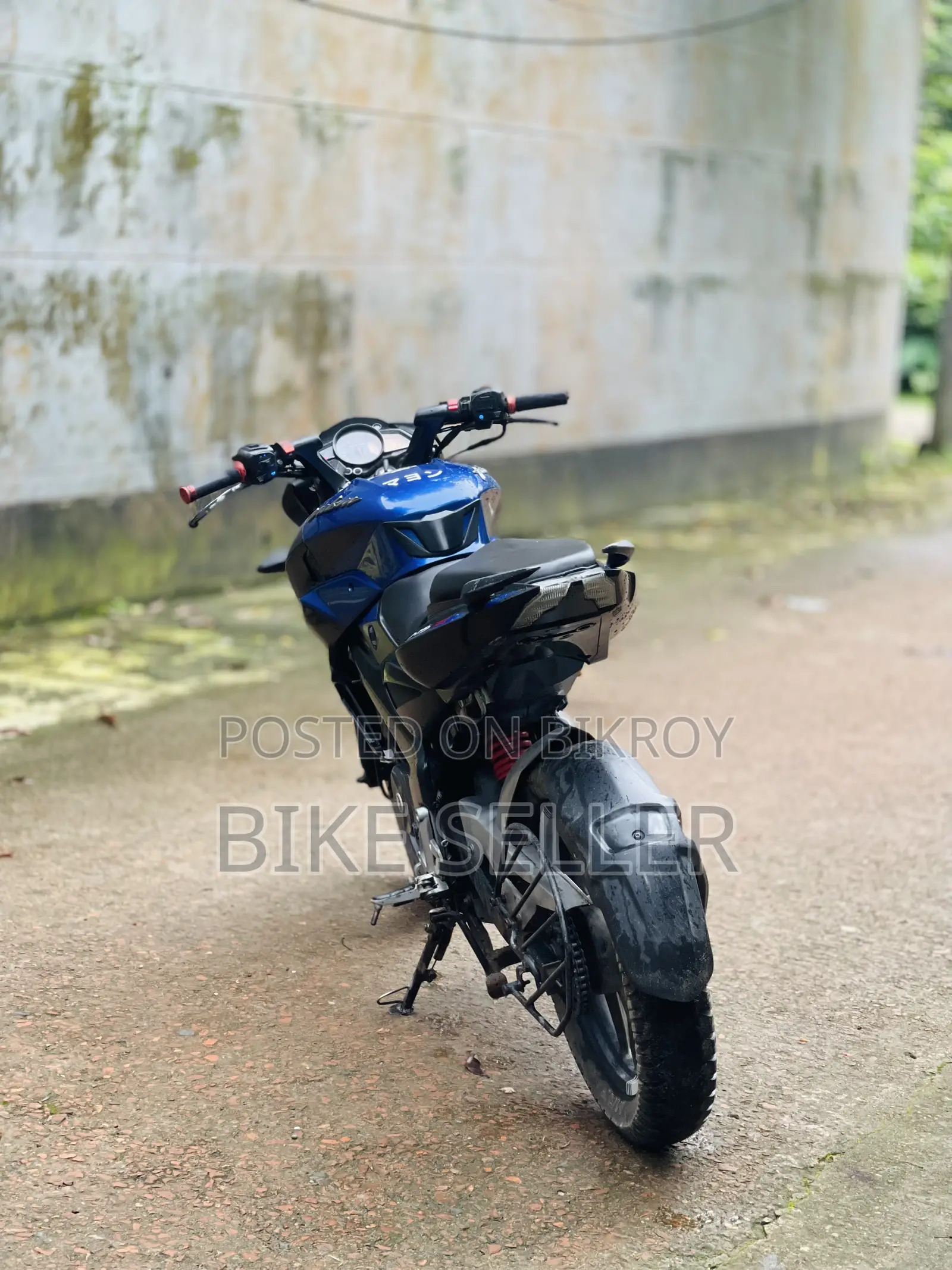 Bajaj Pulsar NS 160 2019 Blue